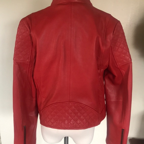 Bagatelle NYC - Picture 5 of 8